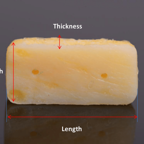 کورتیکو-کنسلوس استریپ