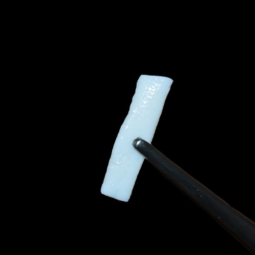 غضروف بین دنده ای