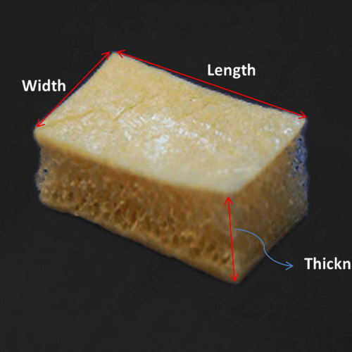 Bicortical Iliac Strip | Kish doku simülatörü Bicortical Iliac Strip