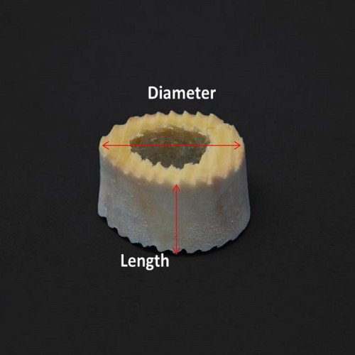 Humeral Cross Section