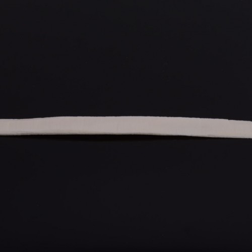Cortical Strut