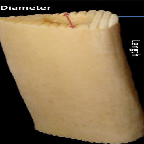 تیبیال شفت